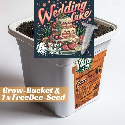 Grow Bucket Coco Mix